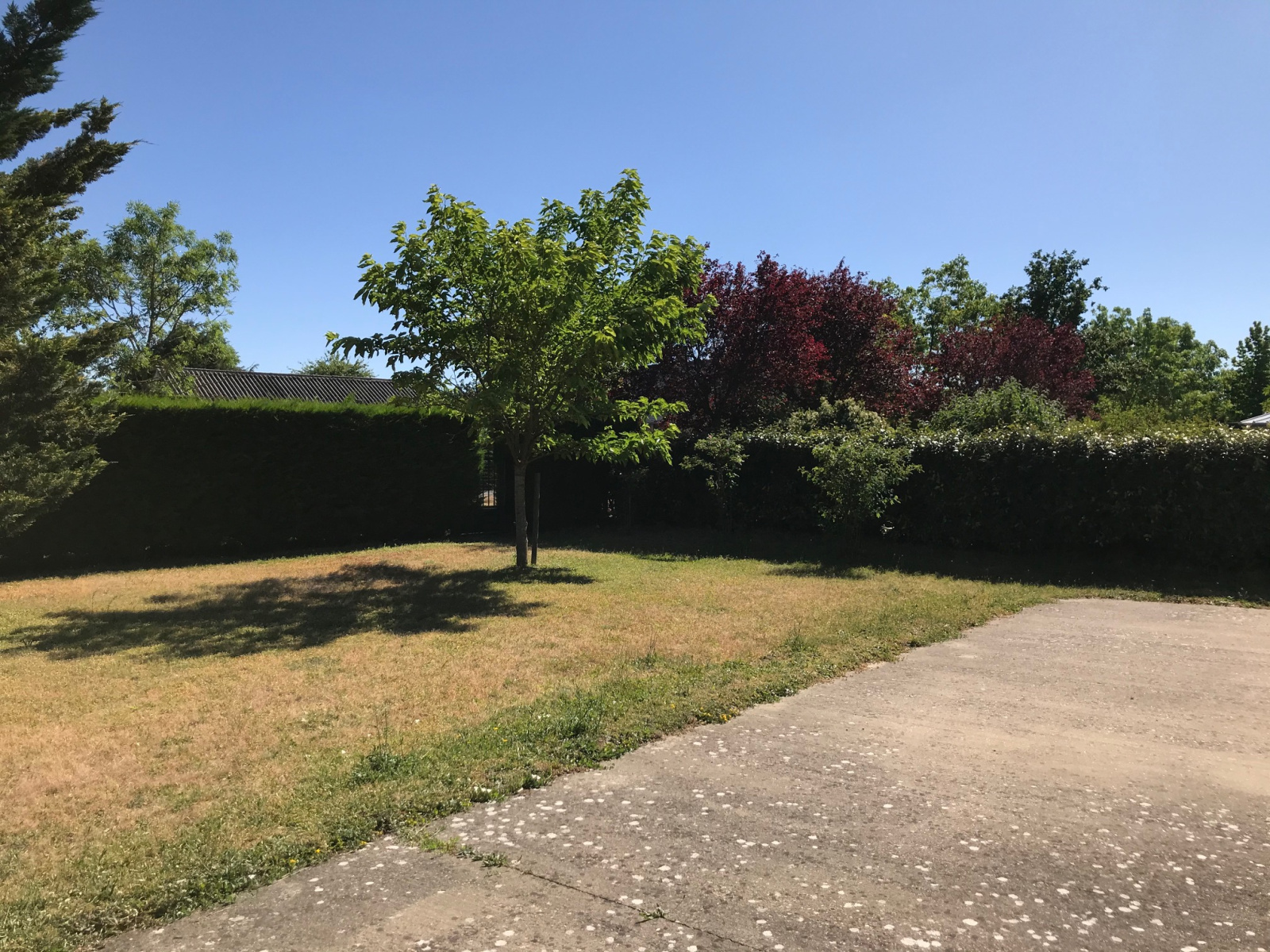 Image_, Maison, Allonnes, ref :2640